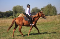 /album/fotogalerie/img-4951-kopie-jpg/